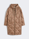 The Cube Down Jacket in Iridescent Water-Repellent Fabric Brown